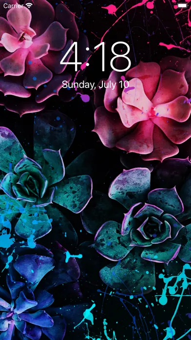 Wallpapers 8K应用截图