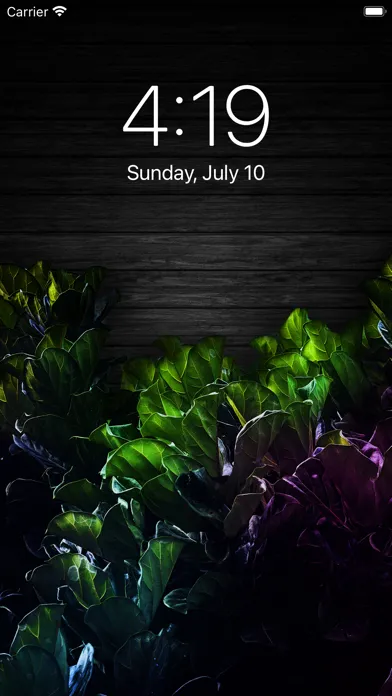 Wallpapers 8K应用截图