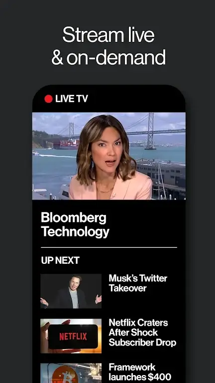 Bloomberg-screenshot-1