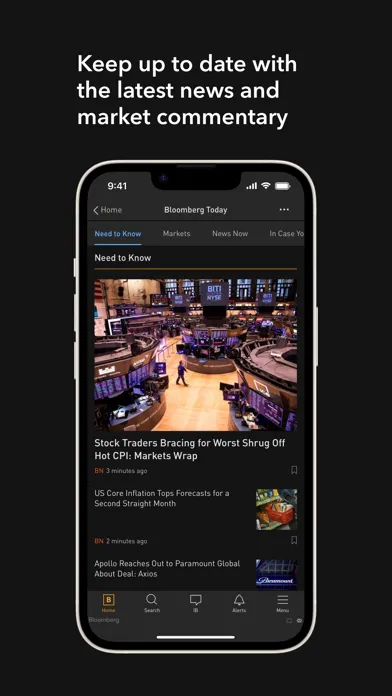 Bloomberg Professional 스크린샷