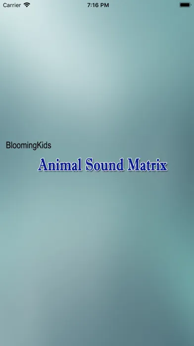 تصاویر Animal Sound Matrix