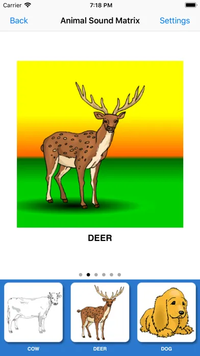 تصاویر Animal Sound Matrix