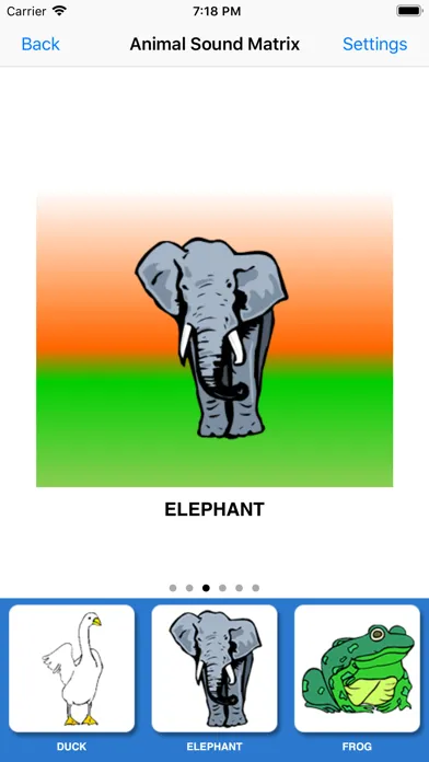 تصاویر Animal Sound Matrix