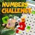 Numbers Challenge