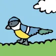 RSPB First Birds