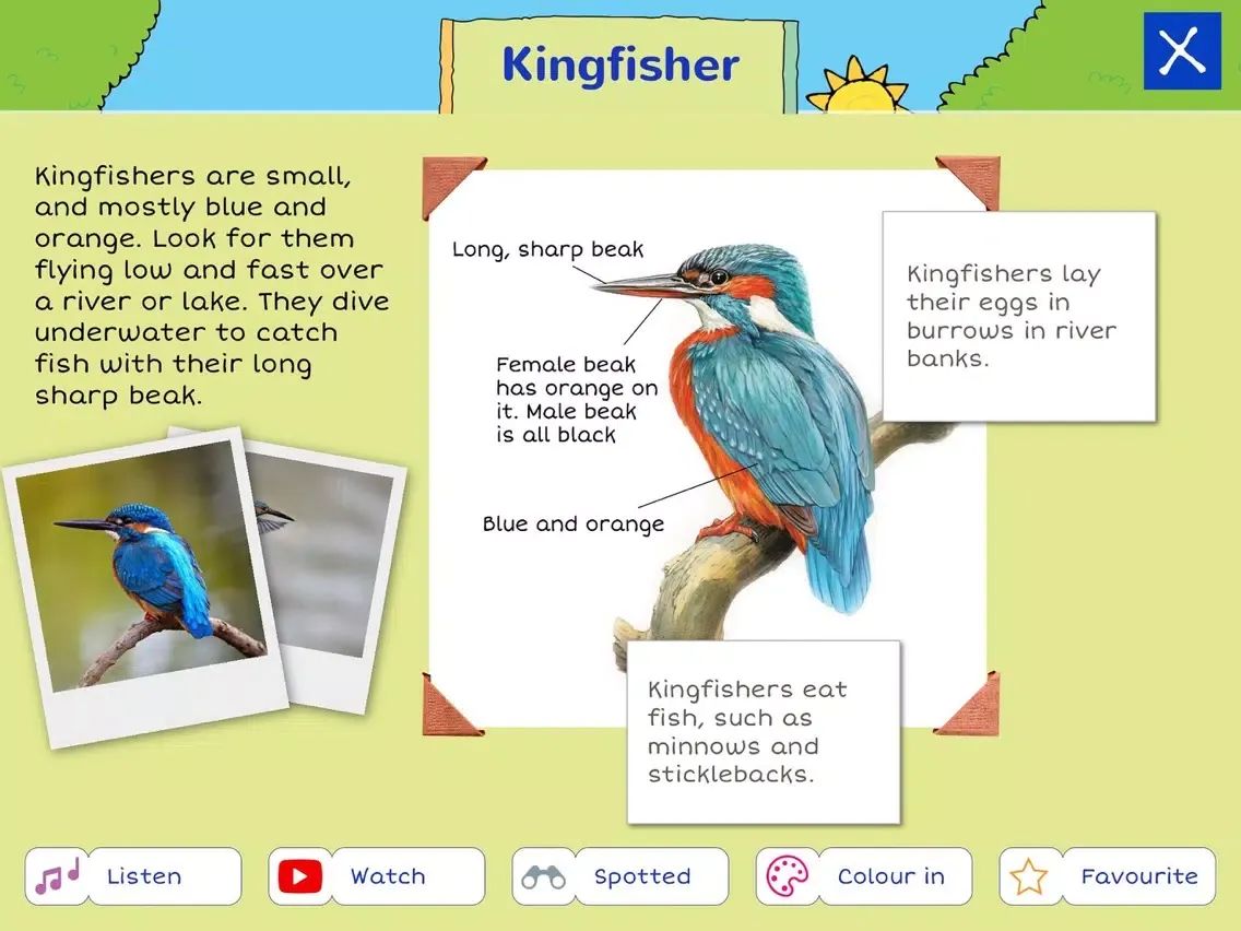 RSPB First Birds iPad  سکرین شاٹس