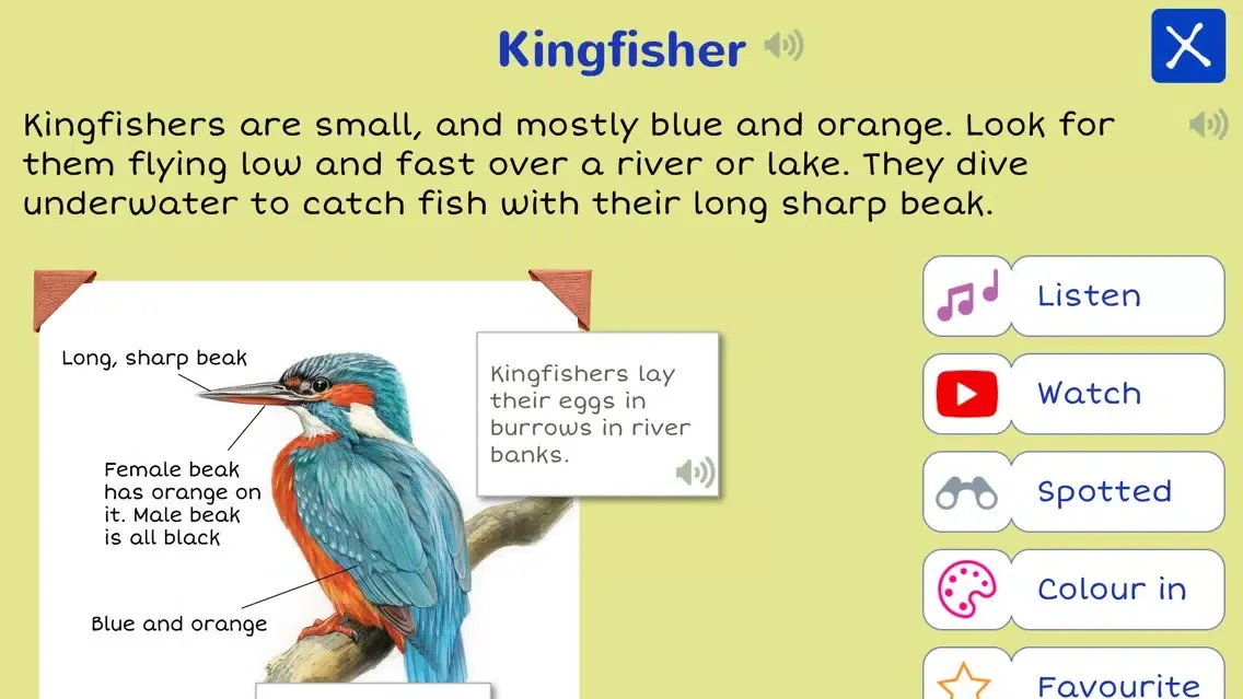 RSPB First Birds سکرین شاٹس