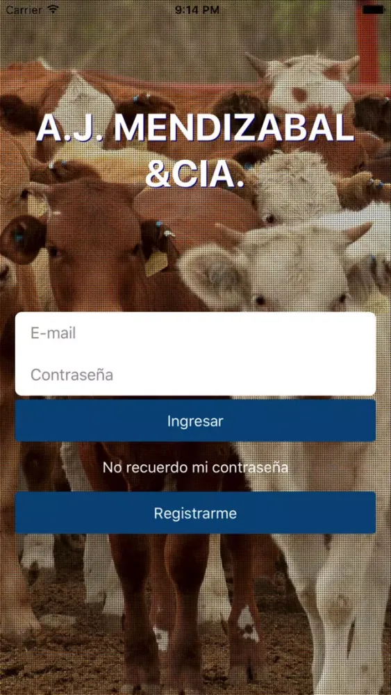Ảnh chụp màn hình của A. J. Mendizabal
