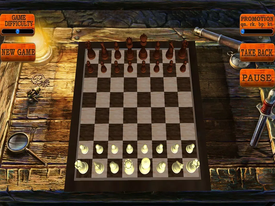 3D Chess Black and White iPad  Screenshots