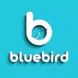 Bluebird Partner Bluebird Partner