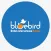 Bluebird British International