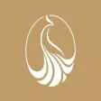 金凤凰软装