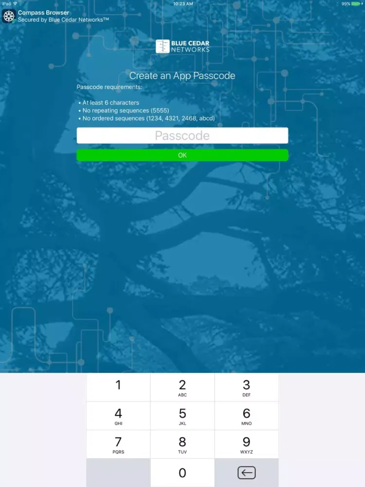 تصاویر Blue Cedar Compass Browser iPad 