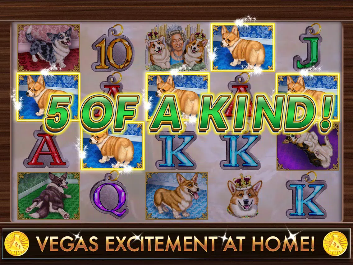 Lucky Corgi Free Slots Casino iPad  স্ক্রিনশট