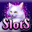 Glitzy Kitty Free Slots Casino Glitzy Kitty Free Slots Casino