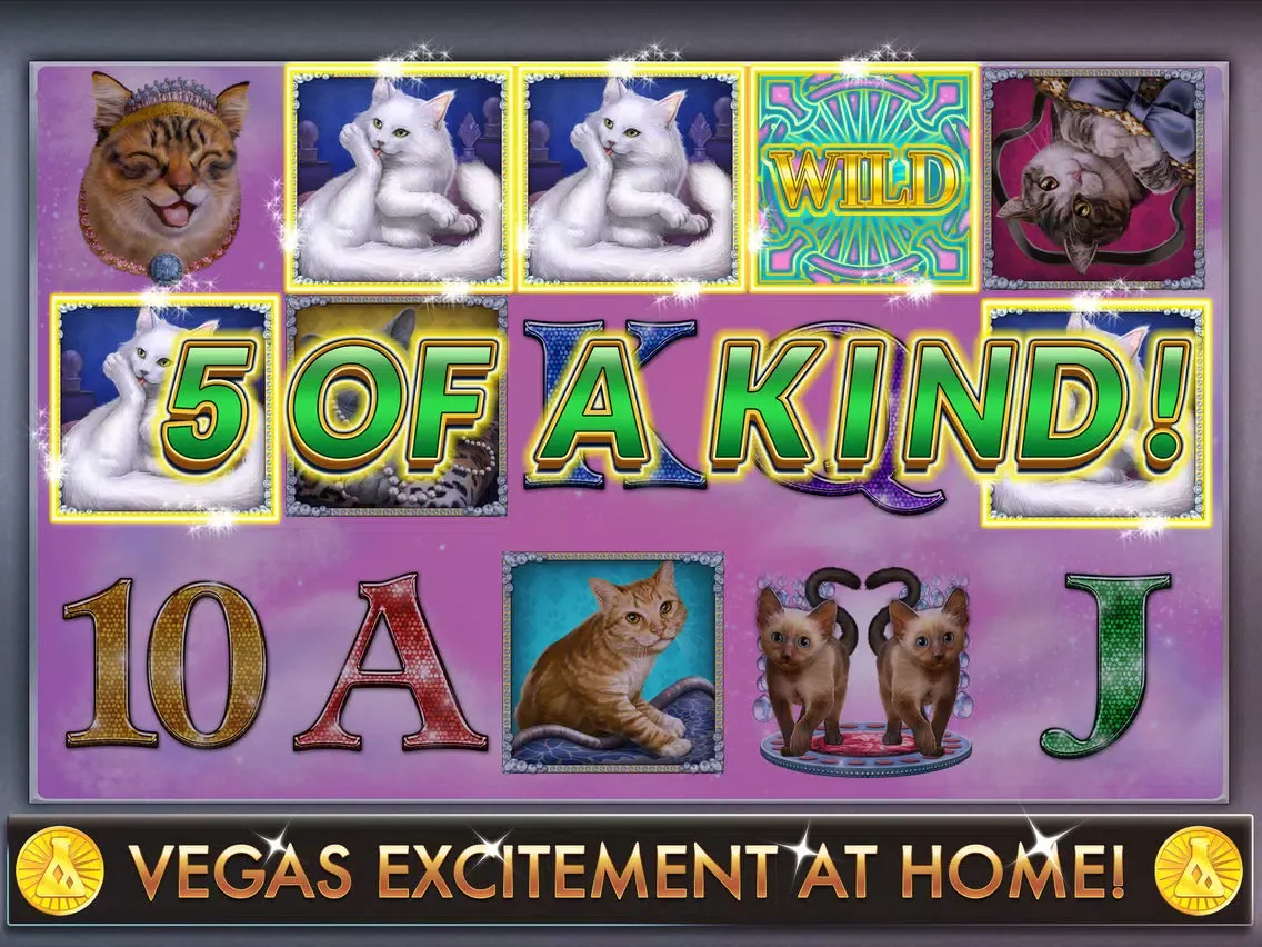 Glitzy Kitty Free Slots Casino iPad 应用截图