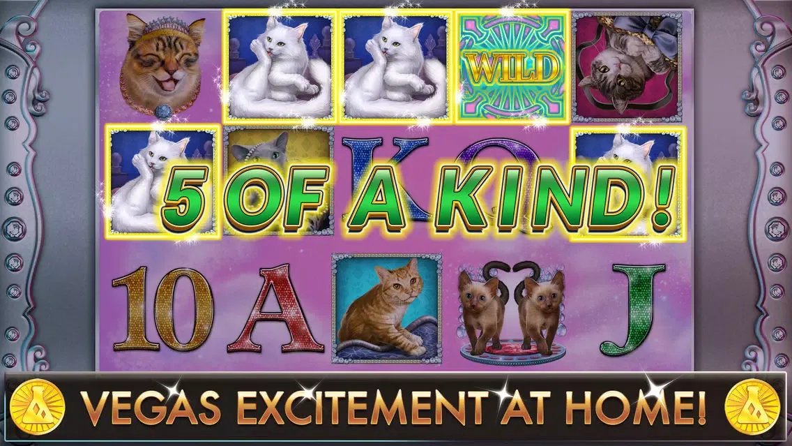 Glitzy Kitty Free Slots Casino应用截图