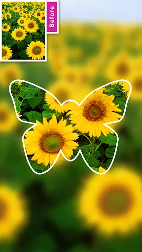 DSLR Blur Background, Bokeh bg Screenshots