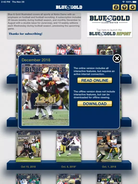 ภาพหน้าจอของ Blue and Gold Illustrated iPad 