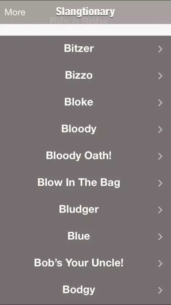 تصاویر Slangtionary - The Ultimate Slang Dictionary On The Planet Absolutely Free