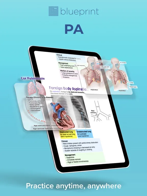 Blueprint PA Prep iPad  Screenshots