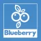 Blueberry Novel