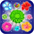 Flower Blitz