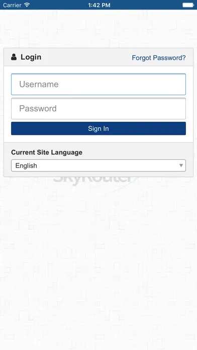 Zrzuty ekranu SkyRouter