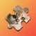 Cats Mania Jigsaw Puzzles