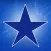 BLUE STAR FOODS