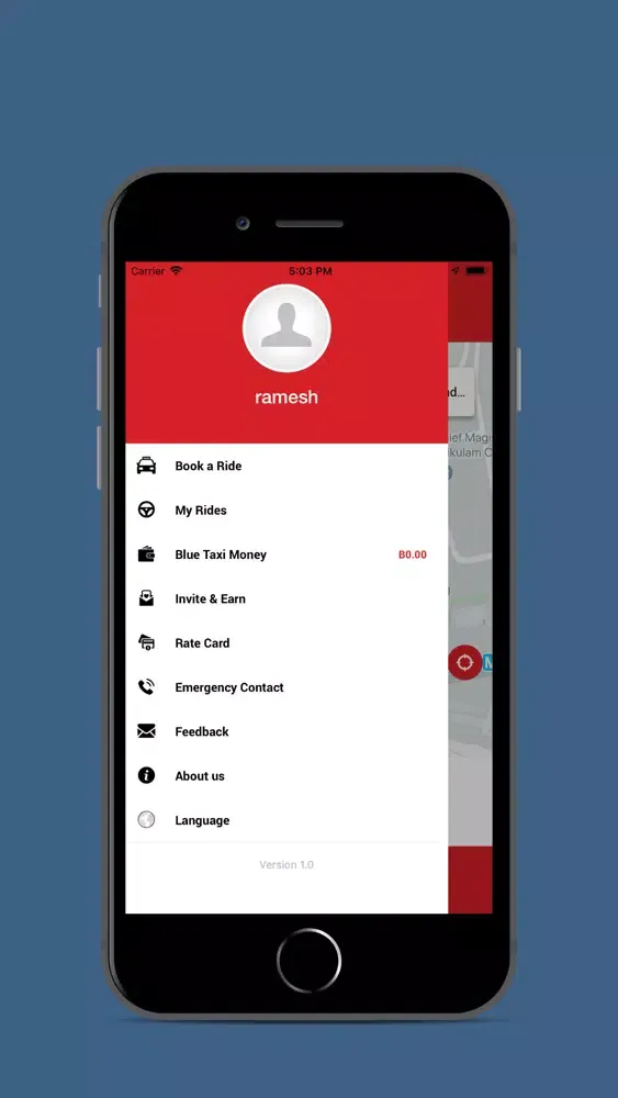 Blue Taxi App Screenshots