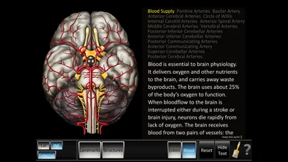 Cerebrum ID Screenshots
