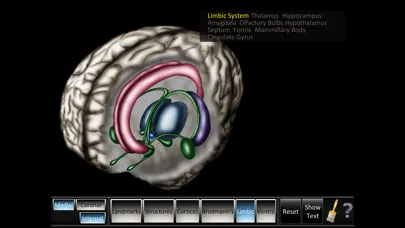 Cerebrum ID Screenshots