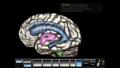 Cerebrum ID Screenshots