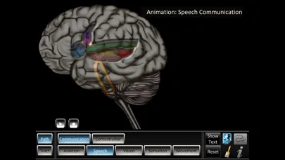 Pathway Tract ID Screenshots