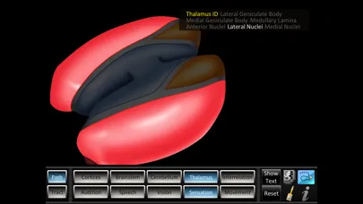 Pathway Tract ID Screenshots