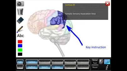 Pathway Tract ID Screenshots
