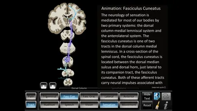 Pathway Tract ID Screenshots