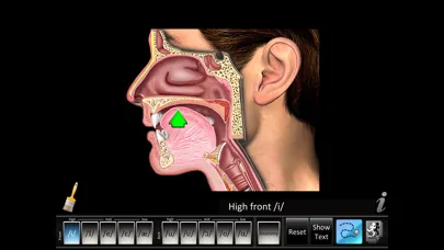 Screenshot di Vowels Front Back