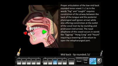 Screenshot di Vowels Front Back