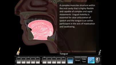 Screenshot di Vowels Front Back