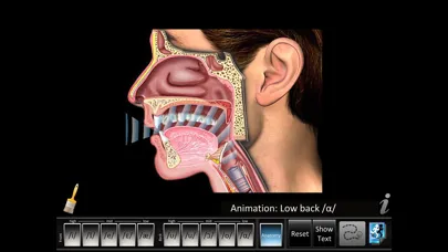 Screenshot di Vowels Front Back