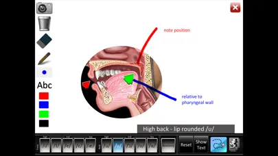 Screenshot di Vowels Front Back