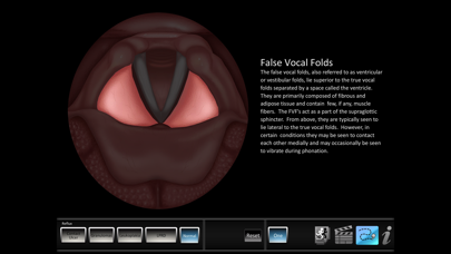 Скриншоты Vocal Pathology: Reflux
