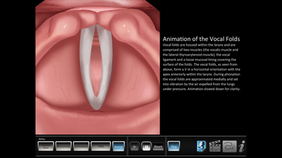 Скриншоты Vocal Pathology: Reflux