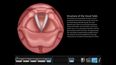 Скриншоты Vocal Pathology: Reflux
