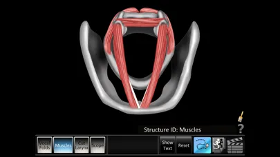 Vocal Folds ID应用截图