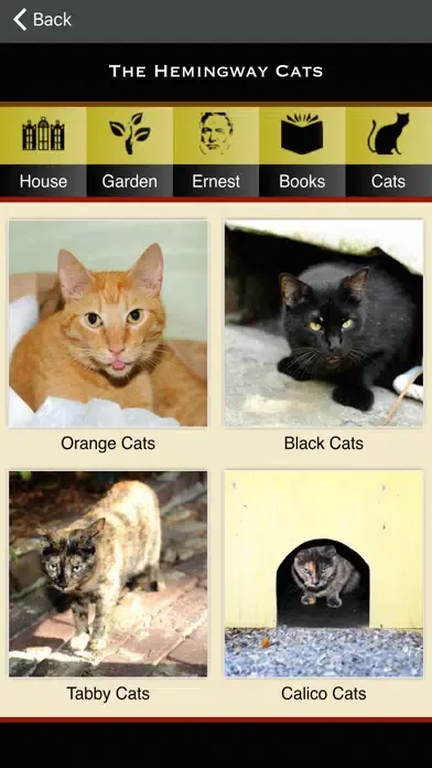 ภาพหน้าจอของ Hemingway Home App