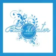 Blue Water Weddings