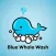 Blue Whale Wash